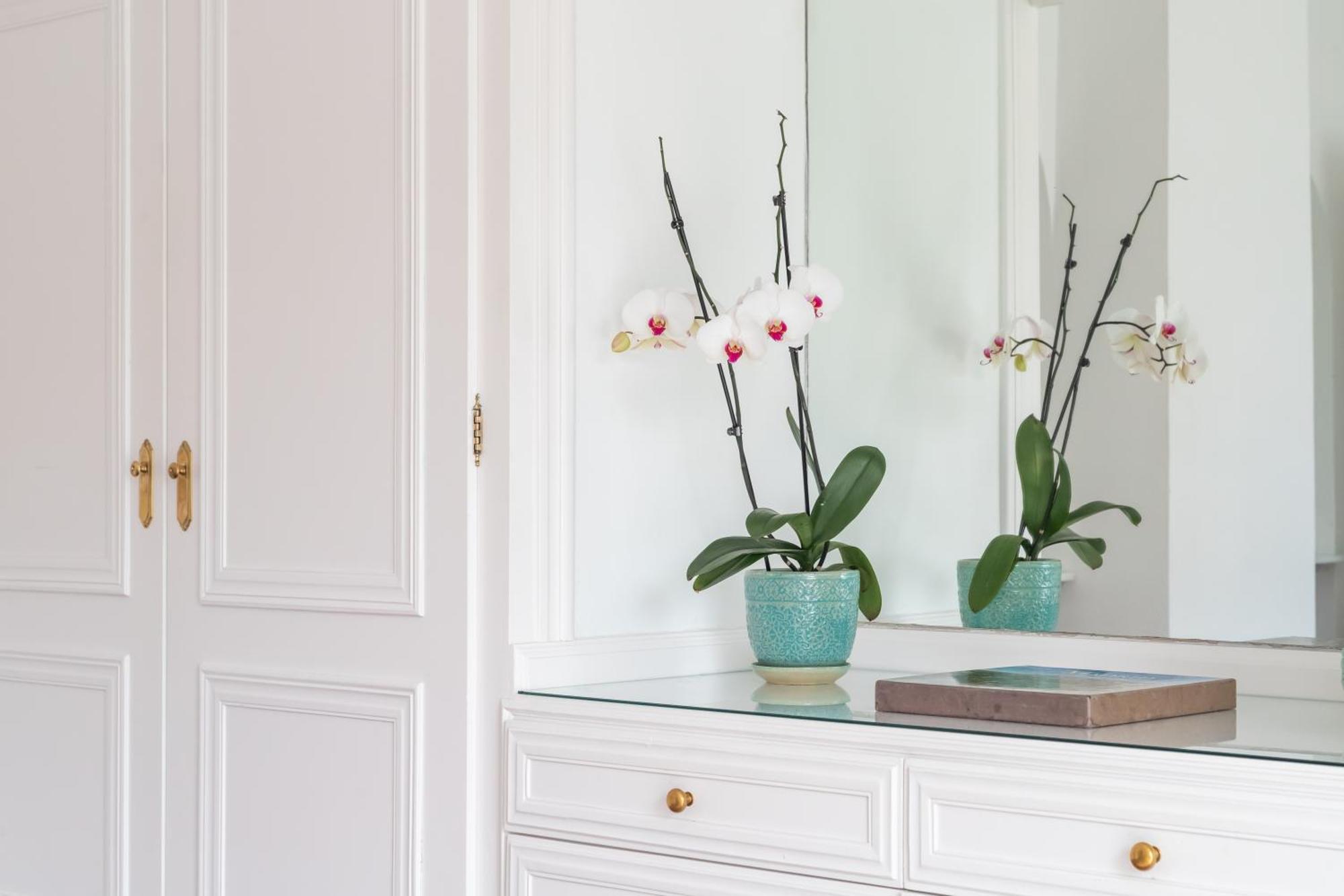 Aurora Boutique House - Only Adults Bed & Breakfast Marbella Eksteriør bilde